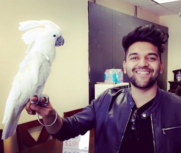 Guru Randhawa With piegon