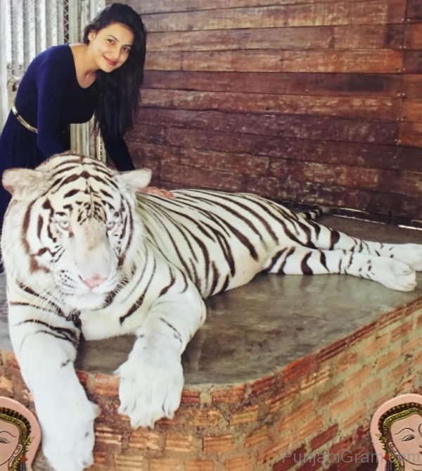 Ginni Kapoor With Tiger-158