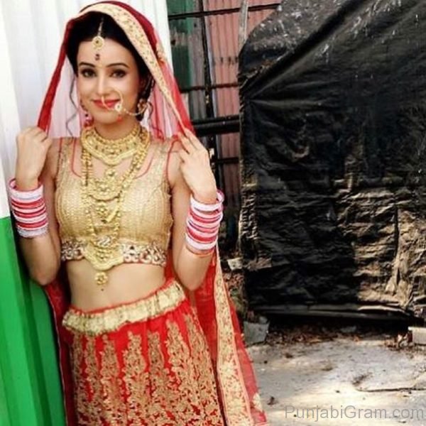 Image Of Graceful Ankita-759