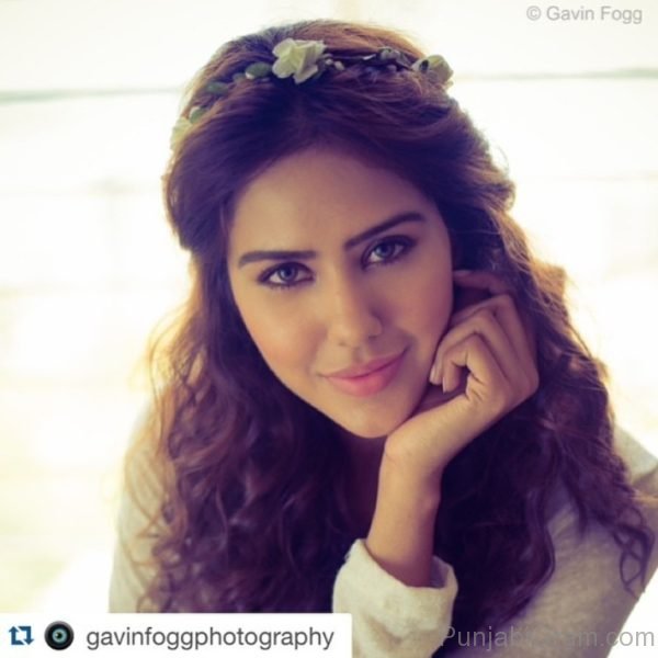 Image Of Sonam Bajwa Looking Nice-020