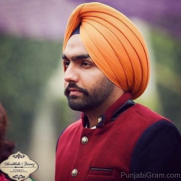 Elegant Ammy Virk 801