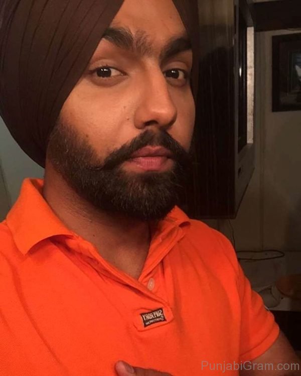 Picture Of Ammy Virk Looking Elegant 382