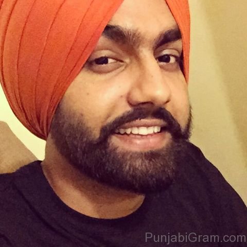 Picture Of Elegant Ammy Virk 080