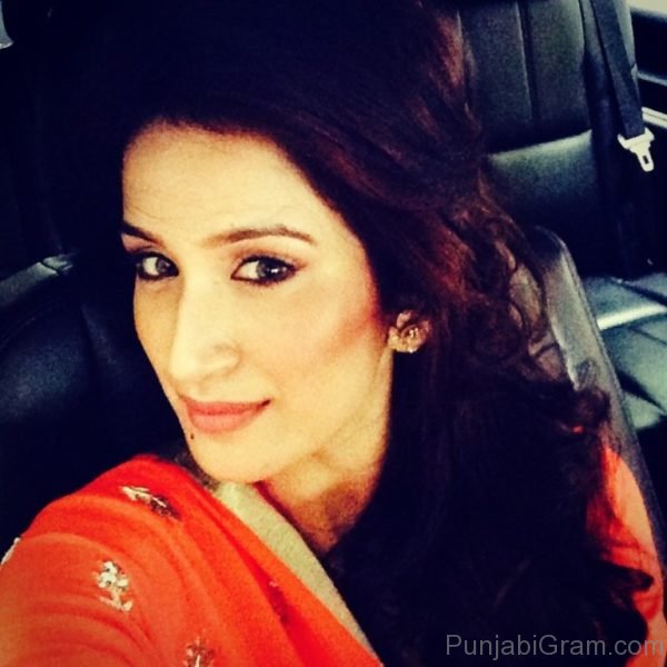 Picture Of Punjabi Superstar Sagarika Ghatge