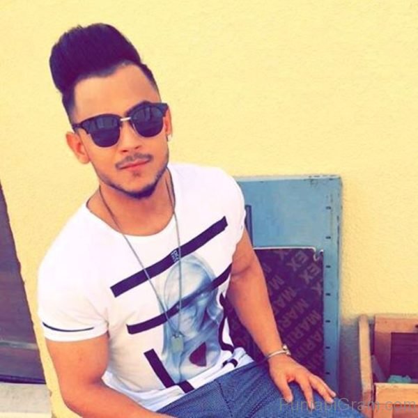 Pic Of Punjabi Actor Millind 1